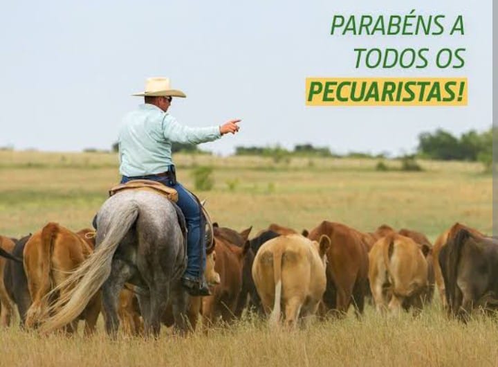 Dia do Pecuarista: Celebrando o trabalho e dedicação na produção agropecuária